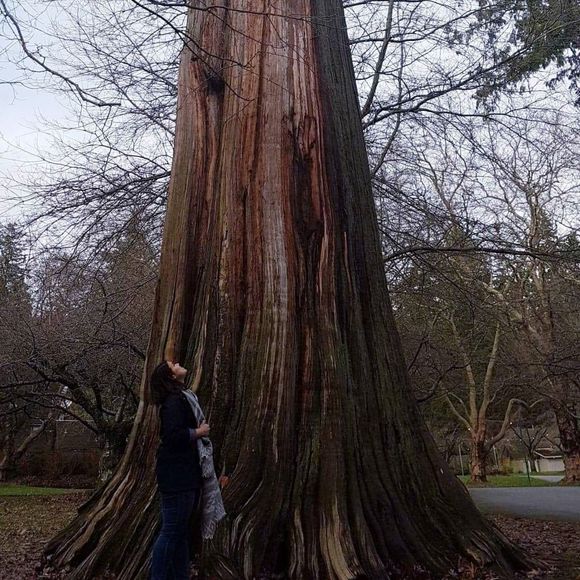 Meet your Posher, Kassandra - Picture 1 of 1